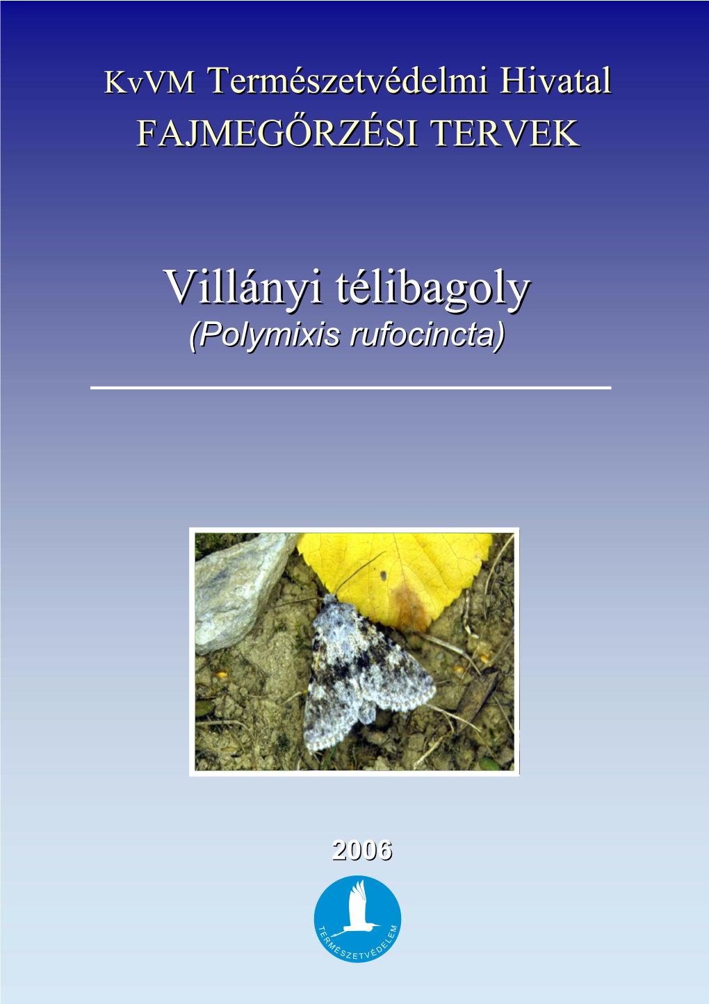 Villányi Télibagolytélibagoly ((Polymixispolymixis Rufocinctarufocincta))