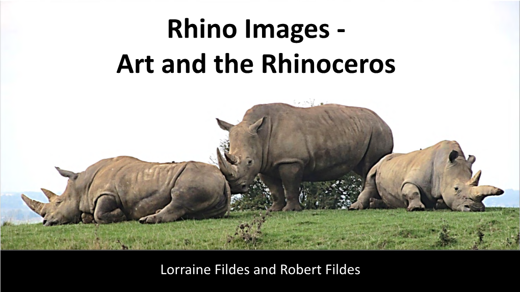 Art and the Rhinoceros