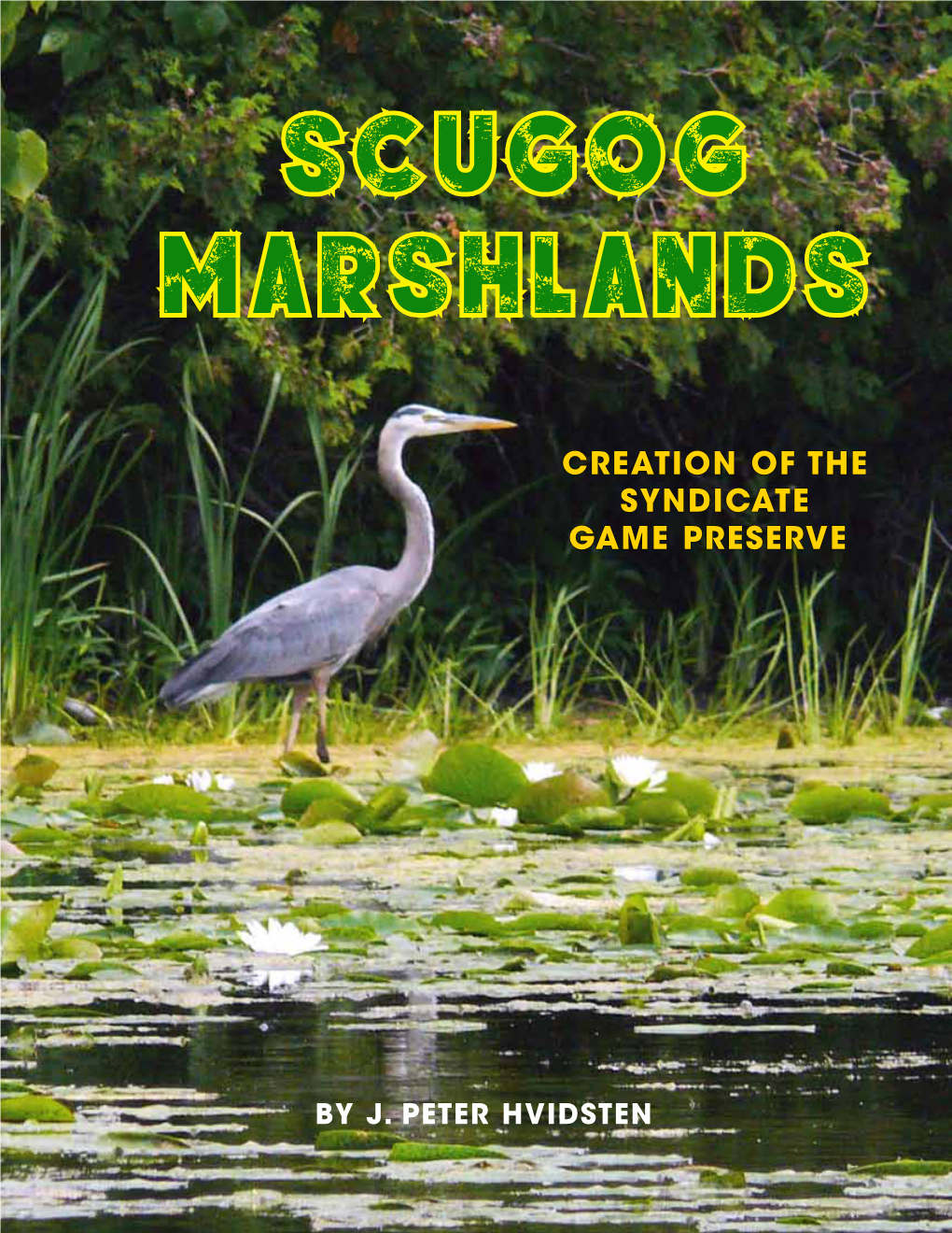 Scugog Marshlands