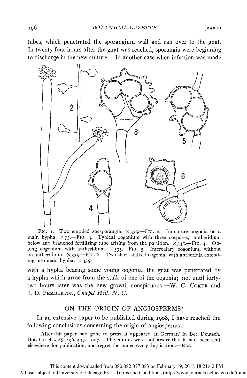 On the Origin of Angiosperms