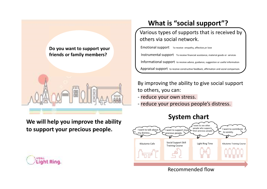 What Is “Social Support”? System Chart