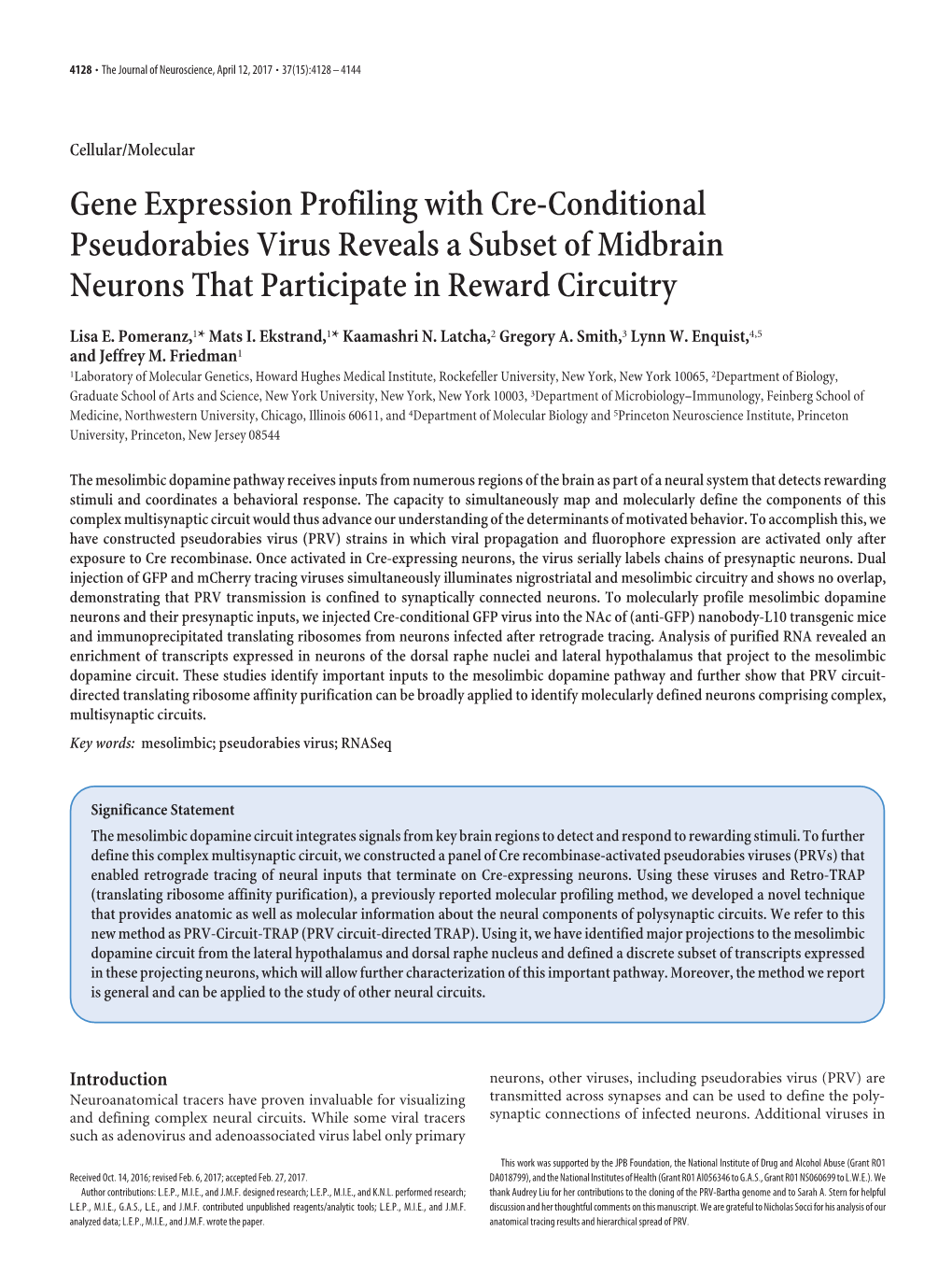 Gene Expression Profiling with Cre-Conditional Pseudorabies Virus Reveals a Subset of Midbrain Neurons That Participate in Reward Circuitry