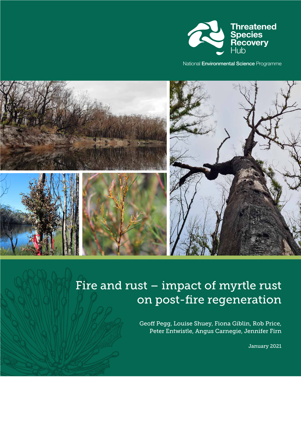 Impact of Myrtle Rust on Post-Fire Regeneration