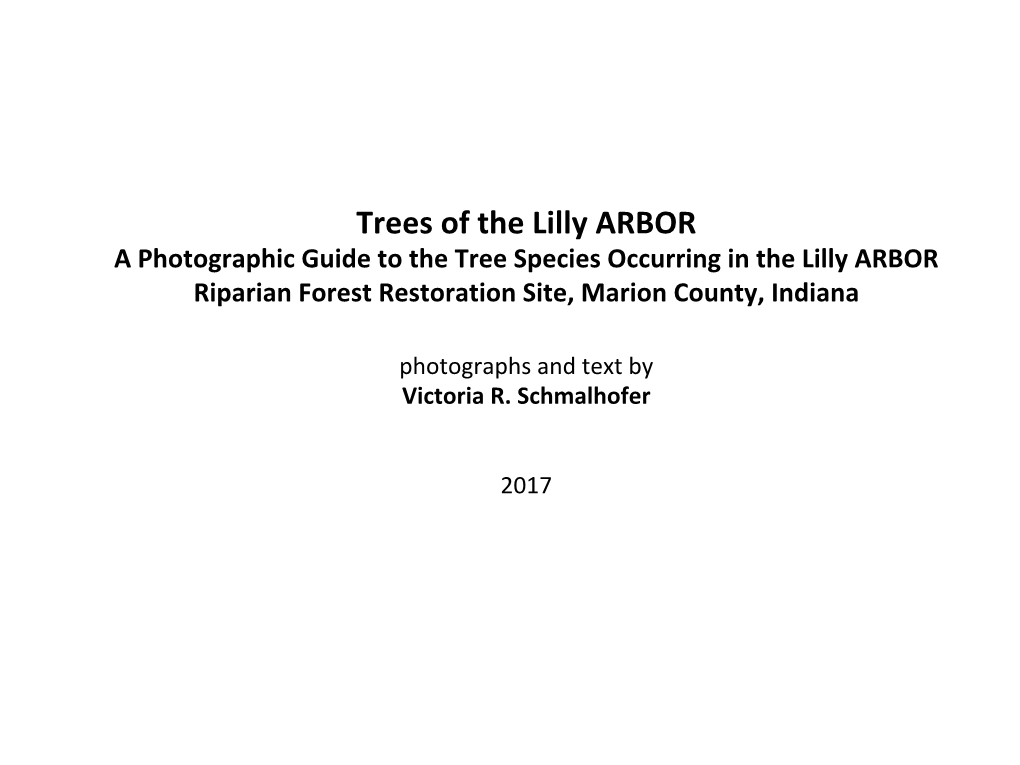 Photographic Guide to the Trees of the Lilly ARBOR