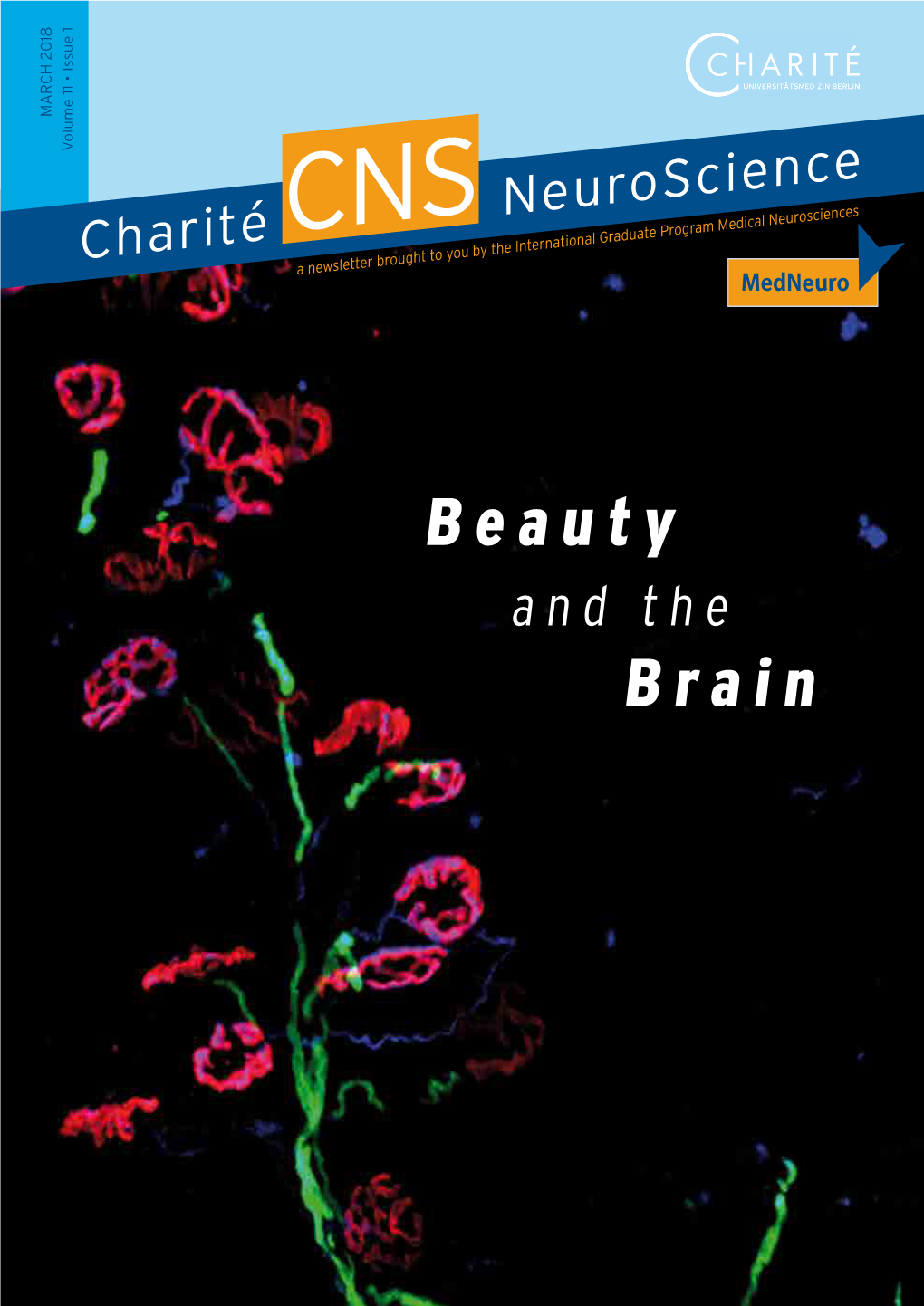 Beauty Brain