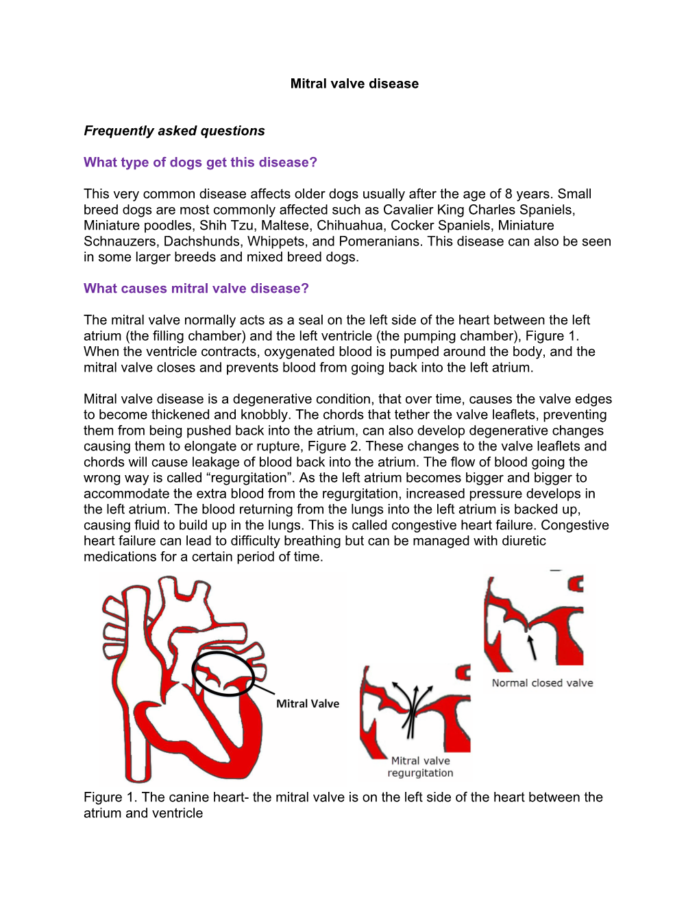 Mitral Valve Disease