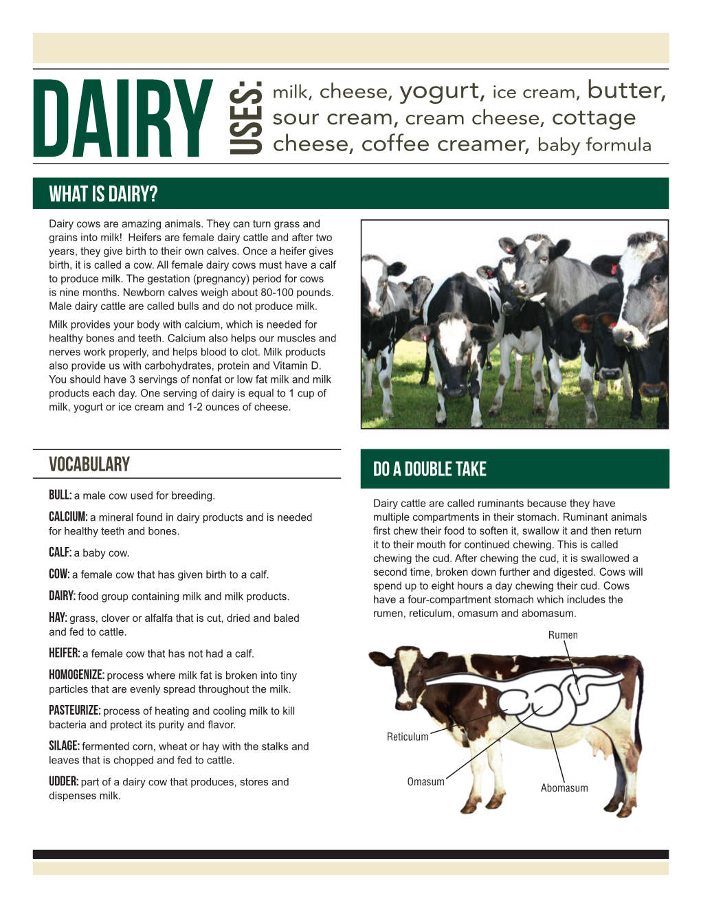 What Is DAIRY?