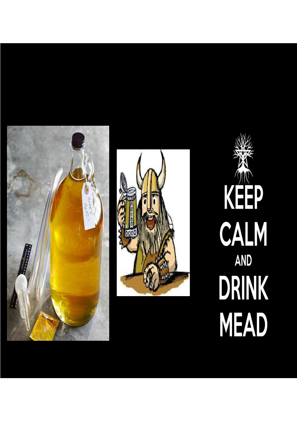 Making Mead 101 by Todd Donnelly
