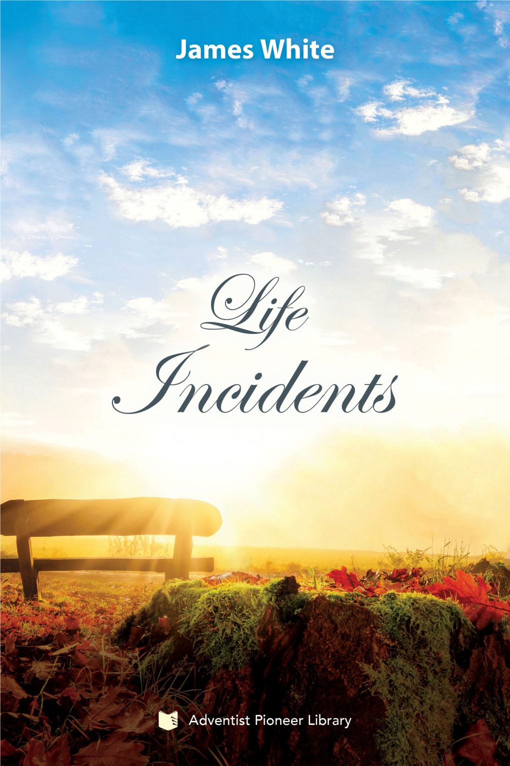 Life Incidents.Pdf