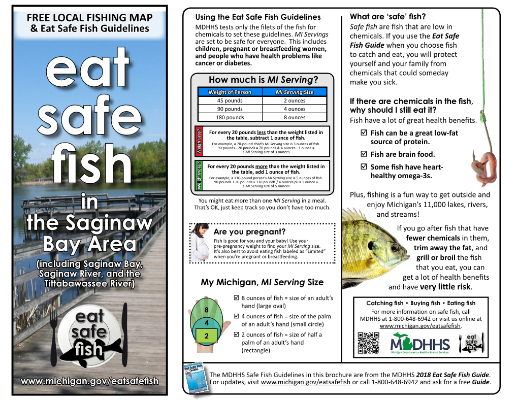 Eat Safe Fish in the Saginaw Bay Area