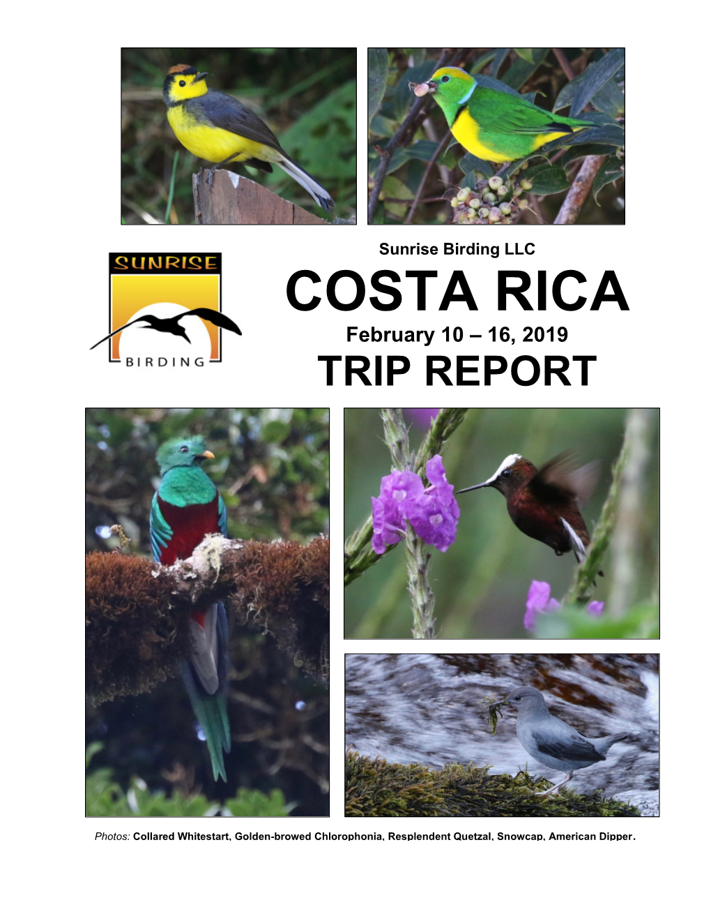 COSTA RICA February 10 – 16, 2019 TRIP REPORT