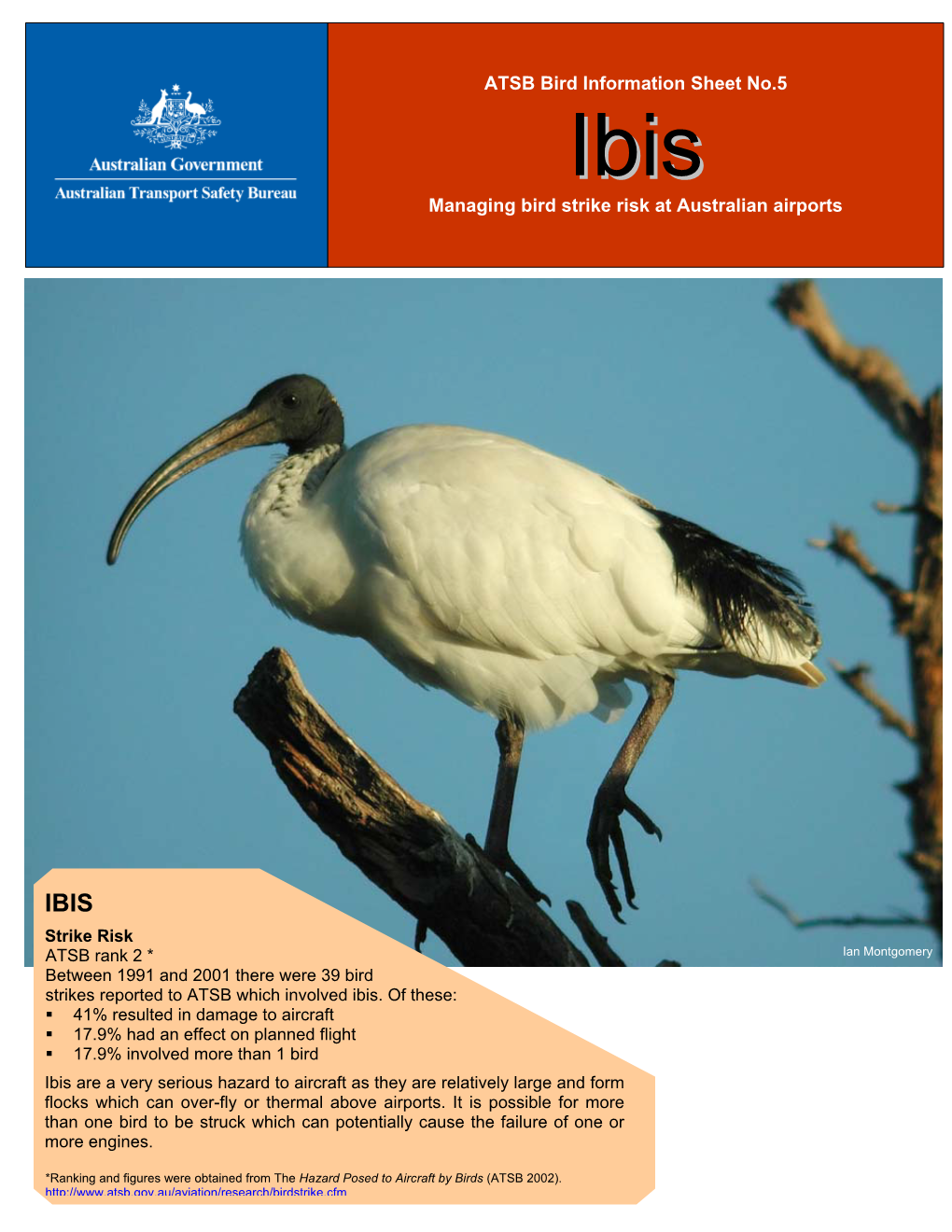 ATSB Bird Information Sheet No.5 Managing Bird Strike Risk At