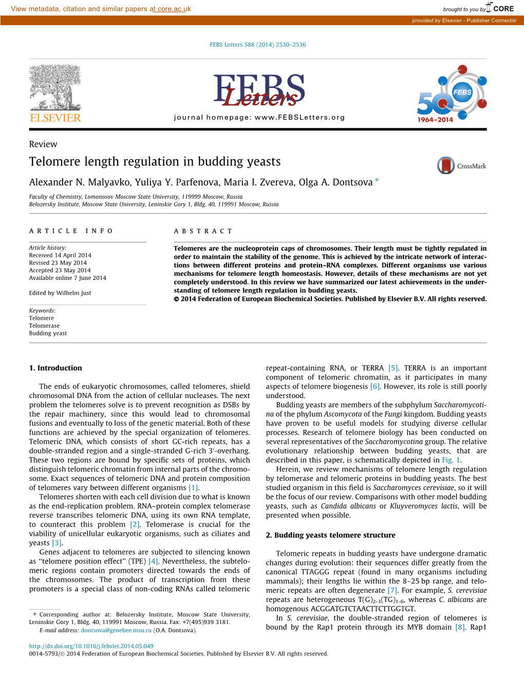 Telomere Length Regulation in Budding Yeasts ⇑ Alexander N