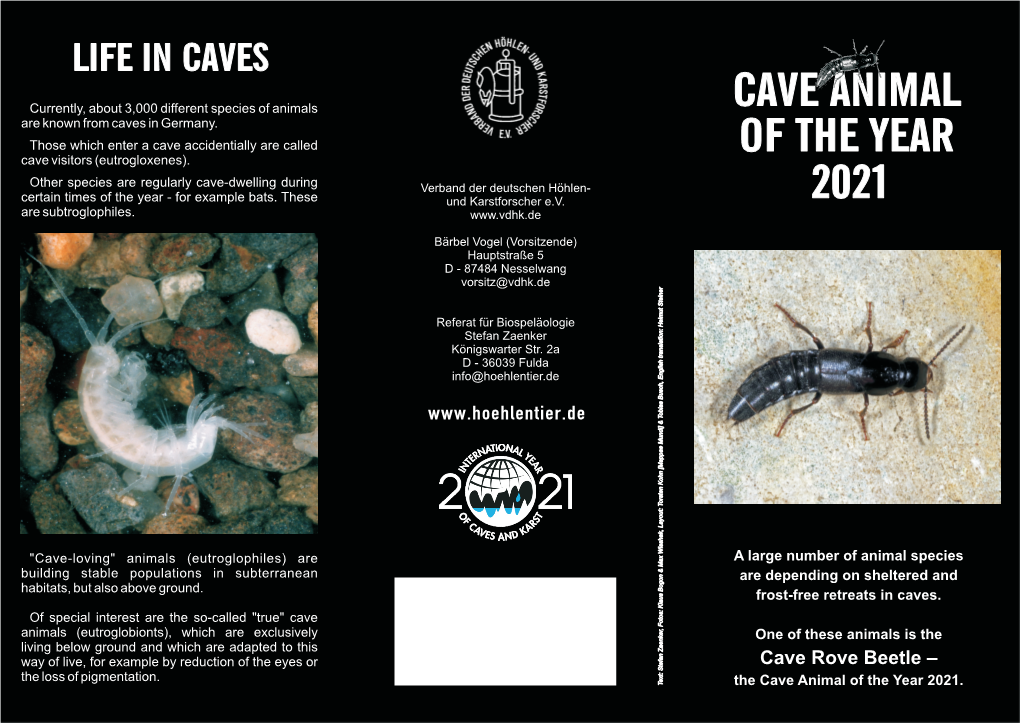 Download Flyer for the Cave Animal 2021