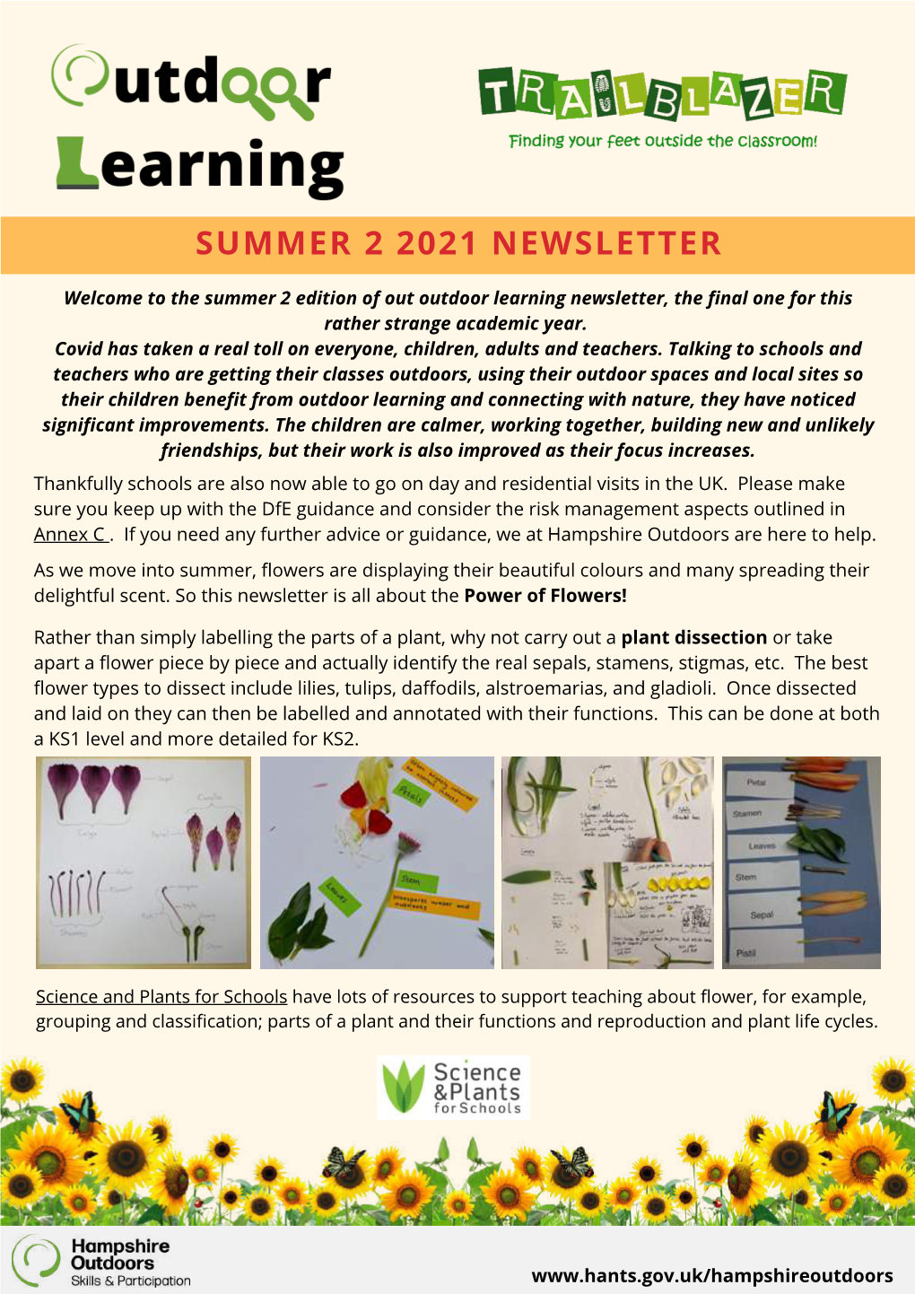 Summer 2 2021 Newsletter