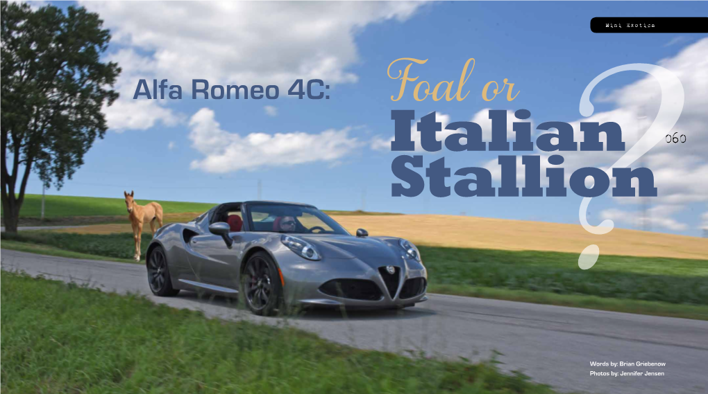 Alfa Romeo 4C: Italian 060 Foalstallion Or