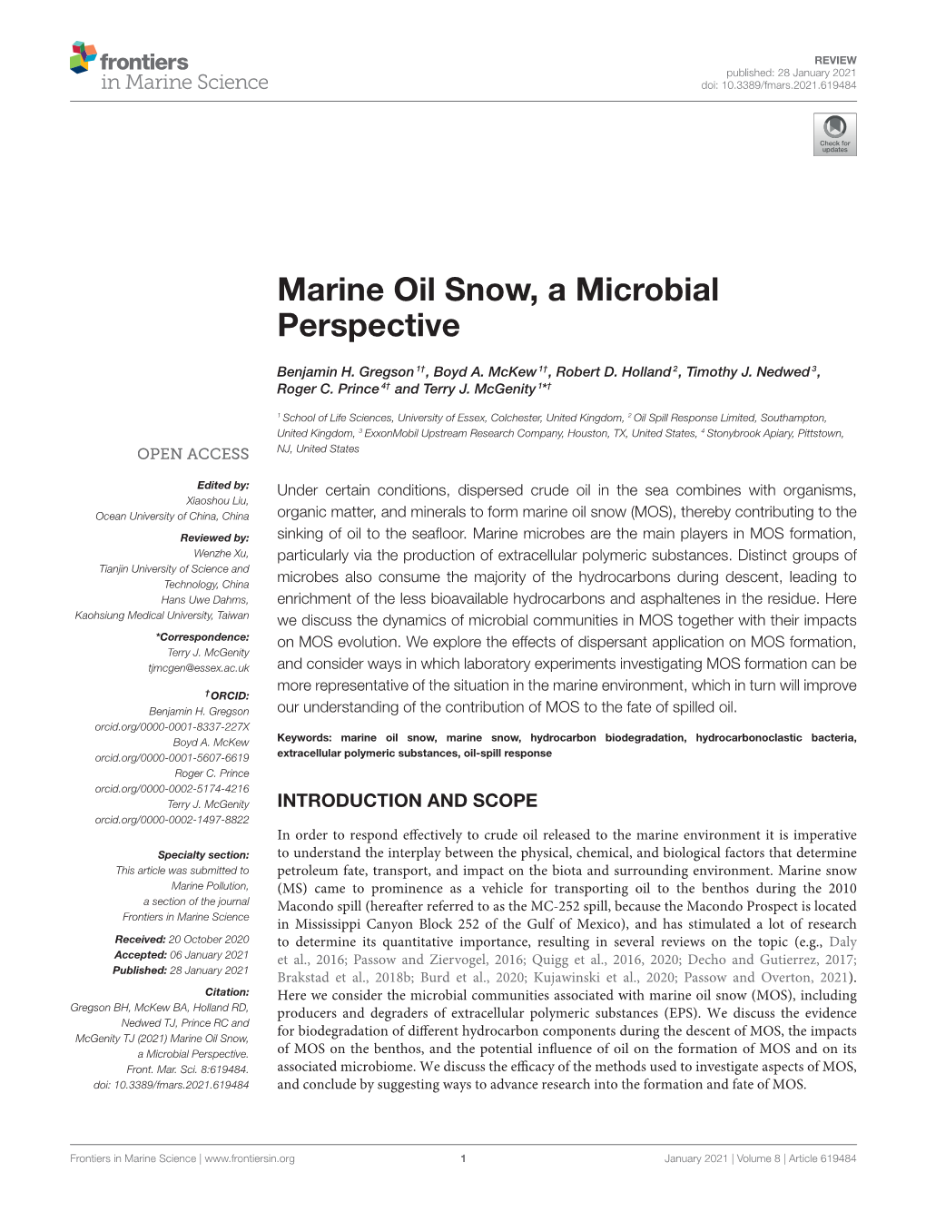 Marine Oil Snow, a Microbial Perspective