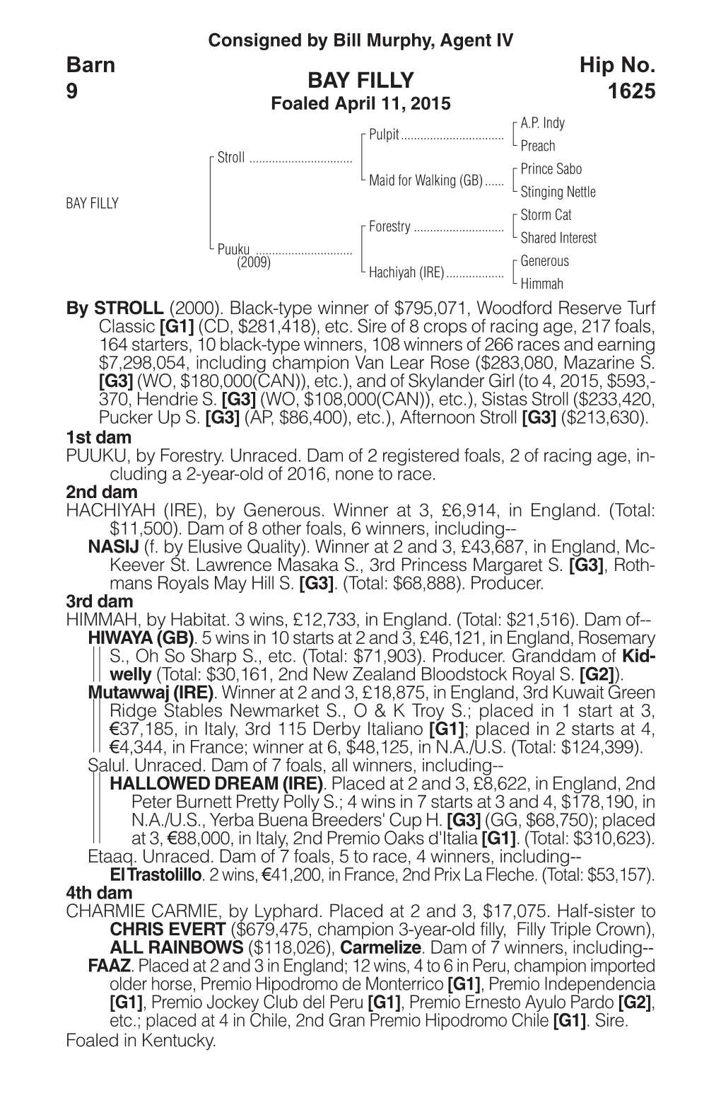 BAY FILLY Barn 9 Hip No. 1625