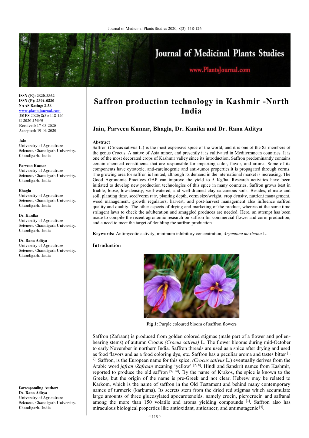 Saffron Production Technology in Kashmir