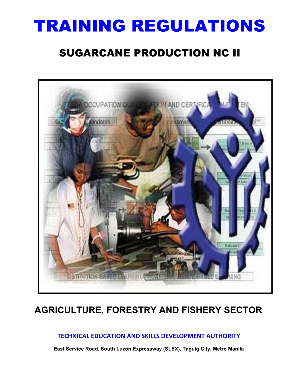 Agriculture, Forestry and Fishery Sector