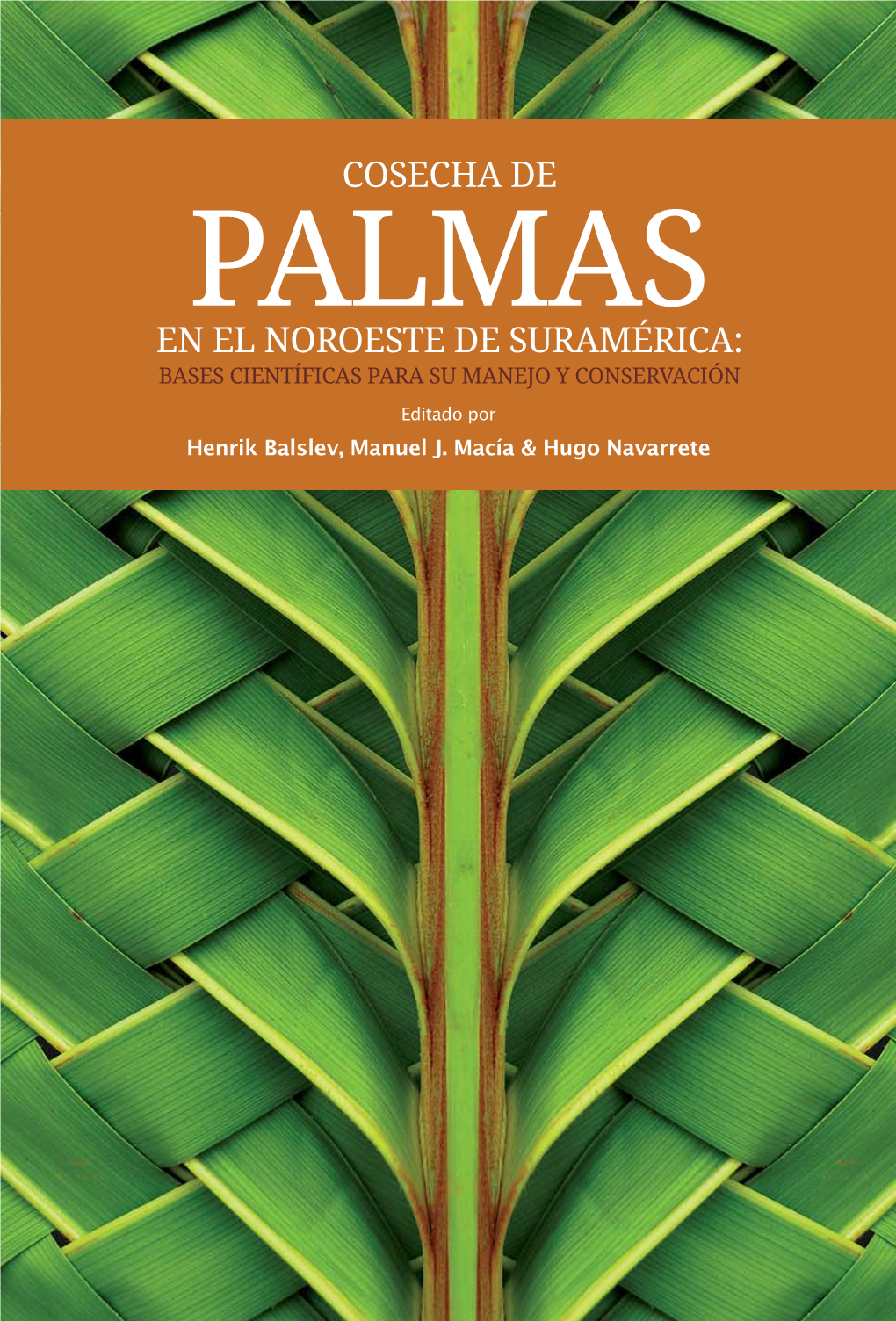 Cosecha De Palmas En El Noroeste De Suramérica