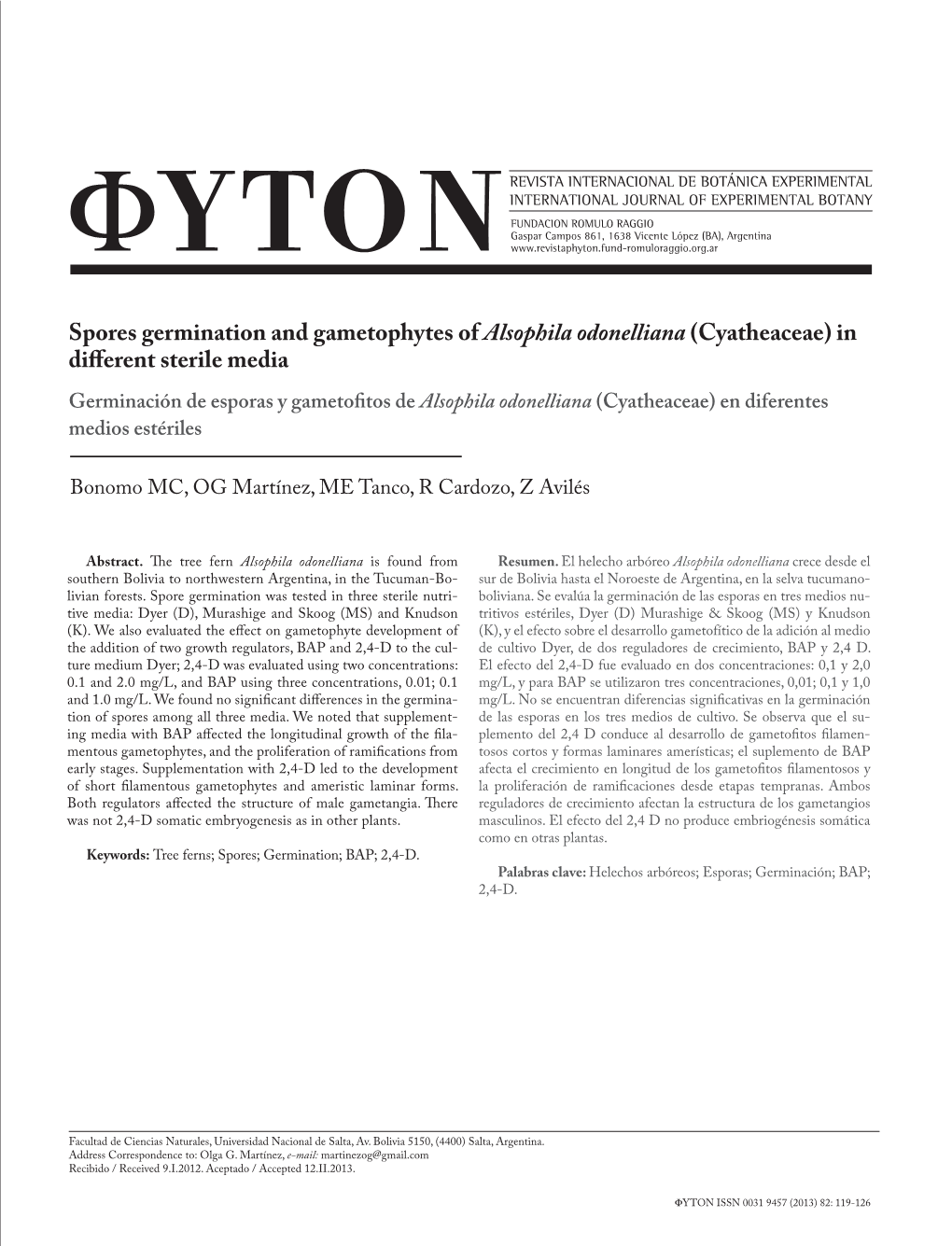 Spores Germination and Gametophytes of Alsophila