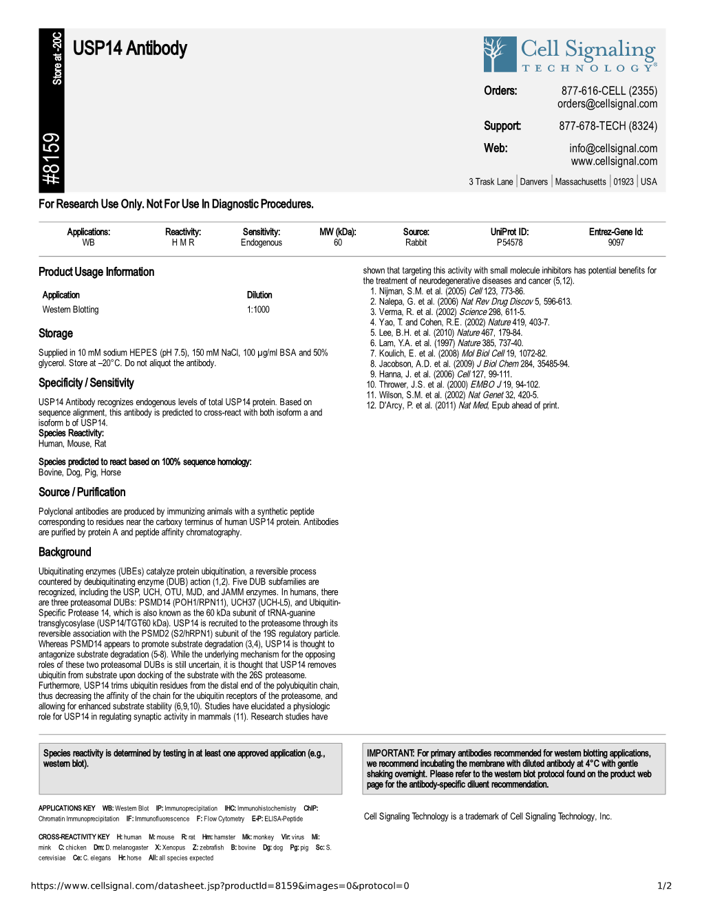 USP14 Antibody A