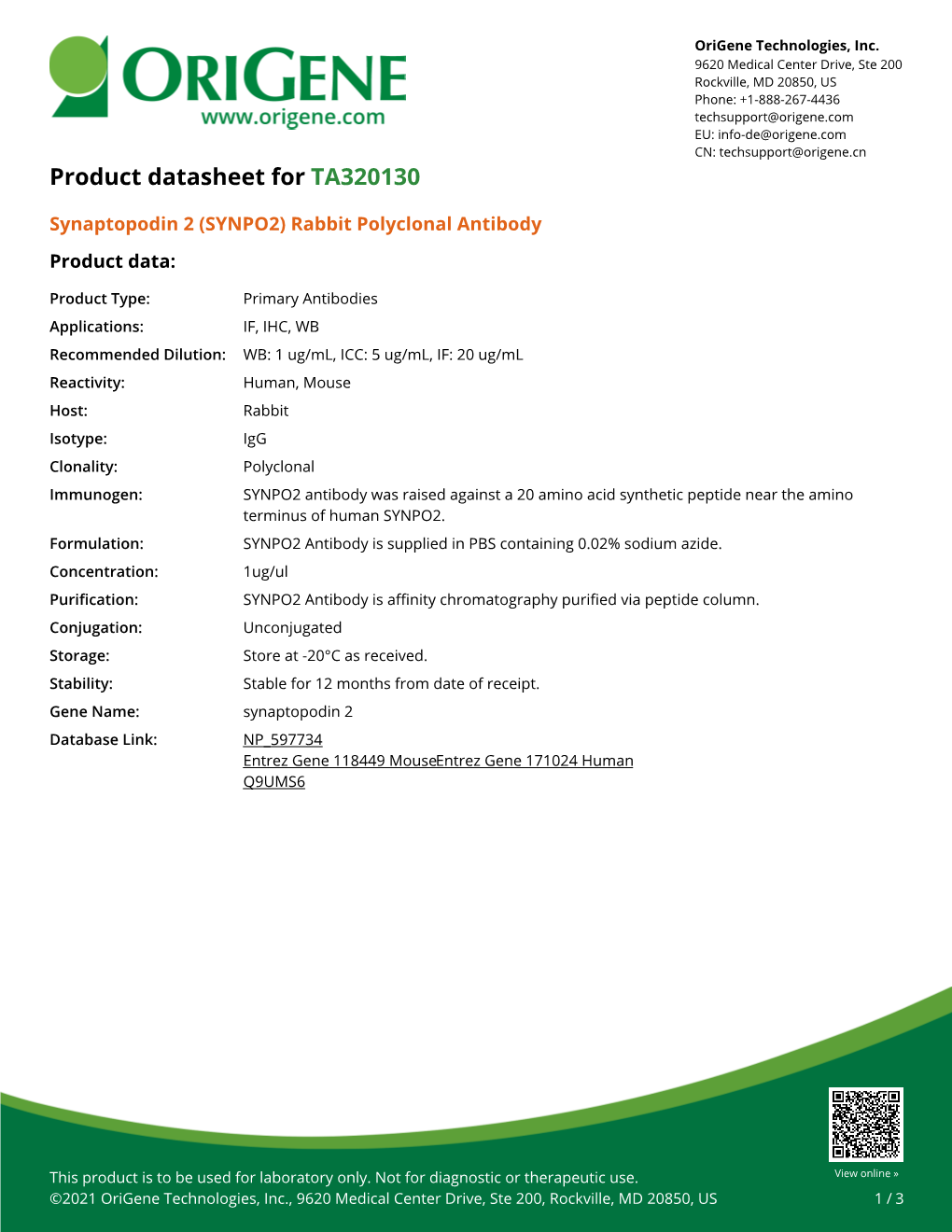 (SYNPO2) Rabbit Polyclonal Antibody – TA320130