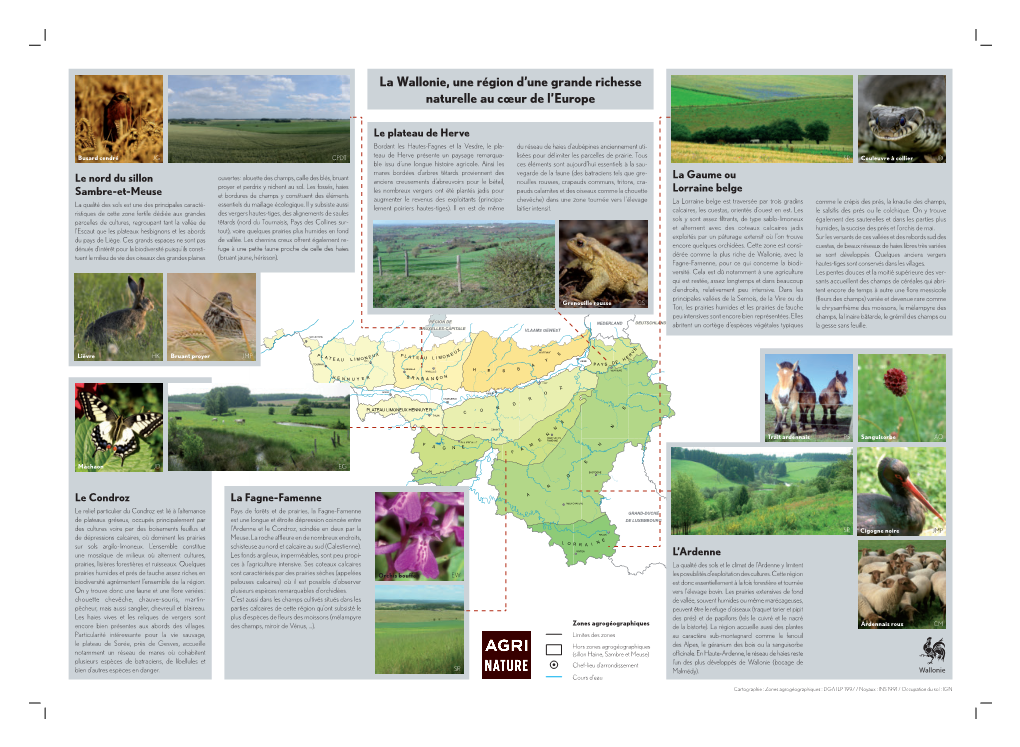 La Wallonie, Une Région D'une Grande Richesse Naturelle Au Cœur De L