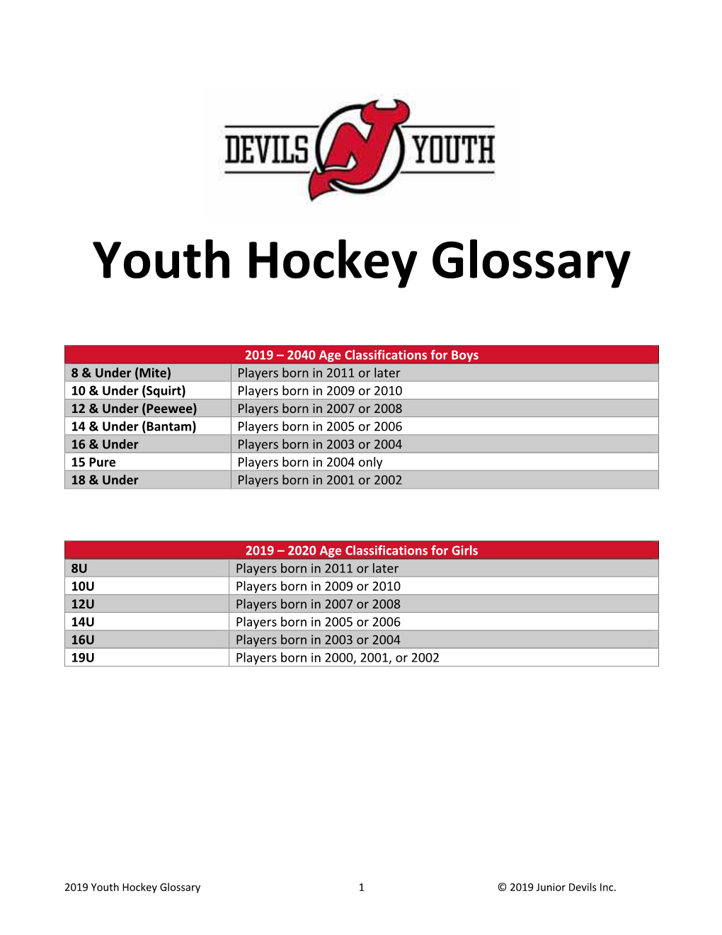 Youth Hockey Glossary