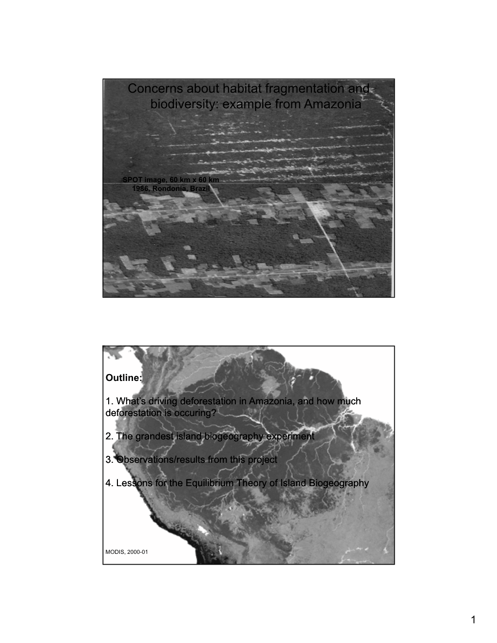 Concerns About Habitat Fragmentation and Biodiversity: Example from Amazonia