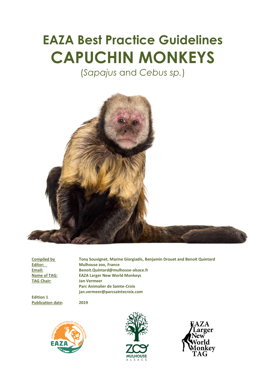 CAPUCHIN MONKEYS (Sapajus and Cebus Sp.)