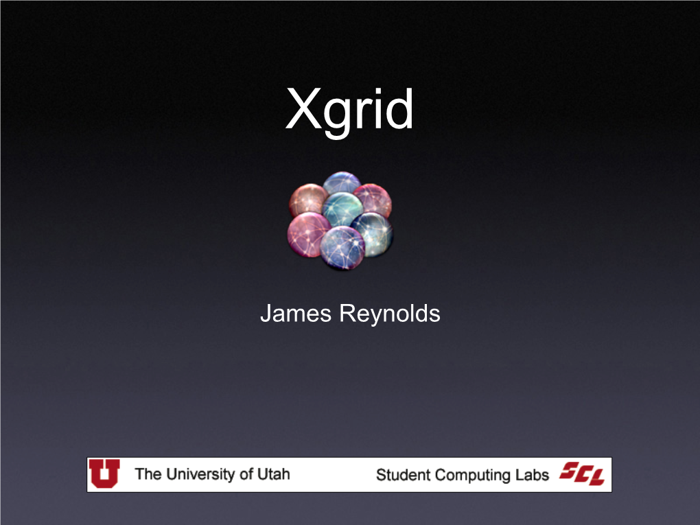 James Reynolds What Is Xgrid?