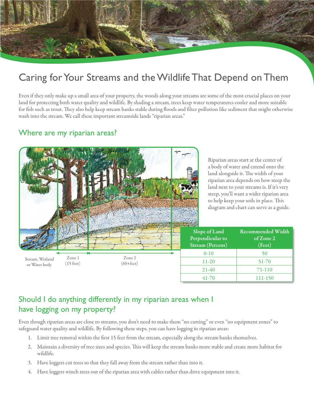 Caring for Your Streams and the Wildlife That Depend on Them