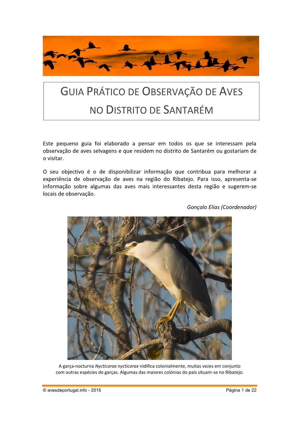 Guia Prático De Observação De Aves No Distrito De Santarém