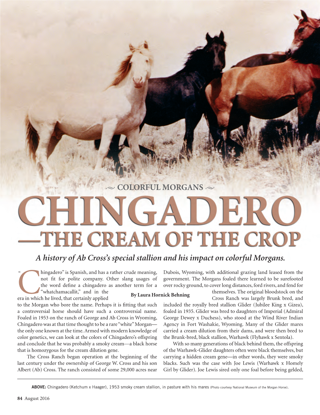 Chingadero As Another Term for a Over Rocky Ground, to Cover Long Distances, Ford Rivers, and Fend for “Whatchamacallit,” and in the Themselves