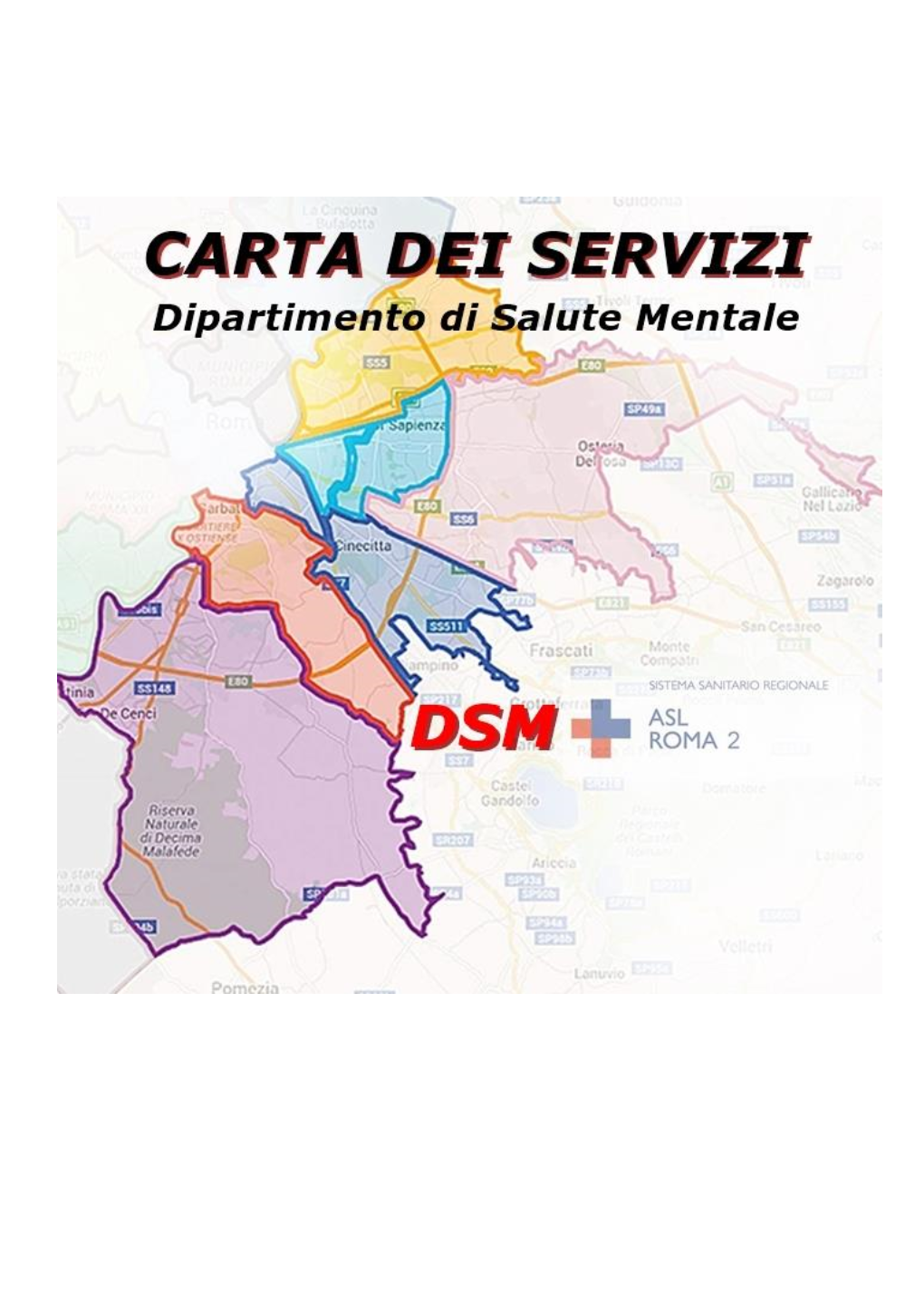 Carta Servizi DSM.Pdf