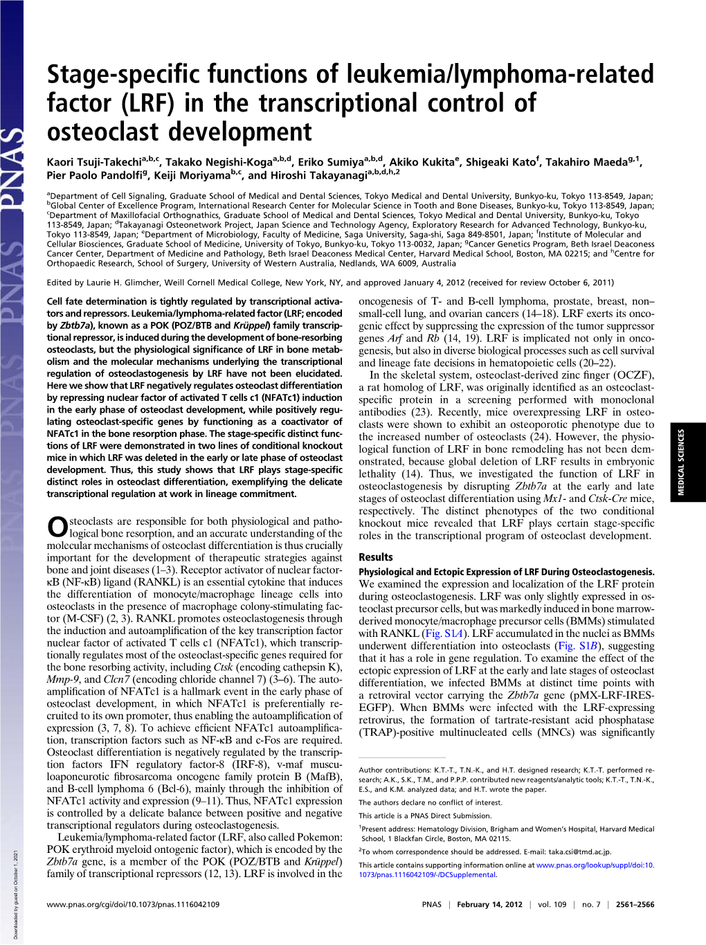 (LRF) in the Transcriptional Control of Osteoclast Development