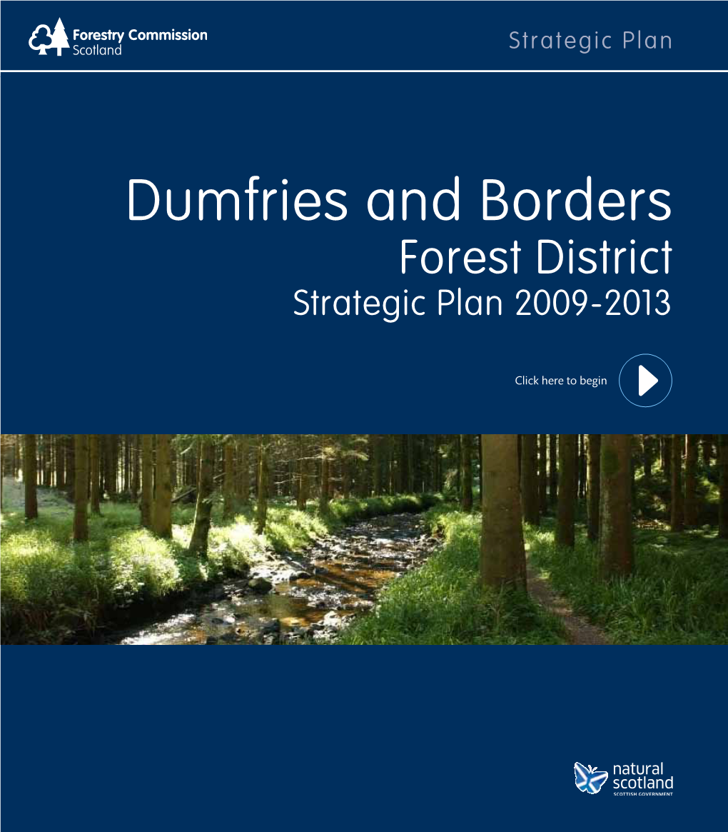 Dumfries and Borders Forest District Strategic Plan 2009-2013