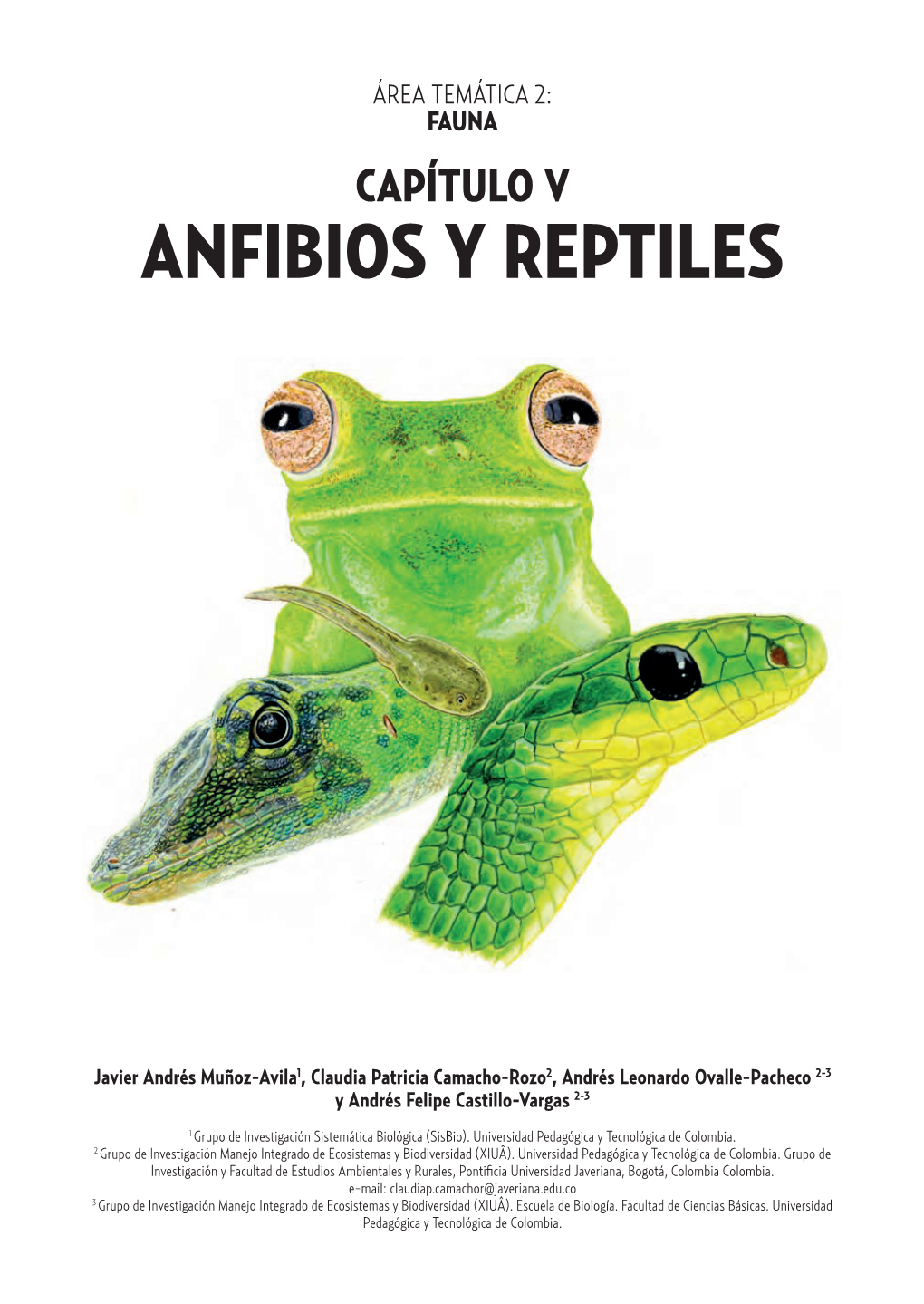 Anfibios Y Reptiles