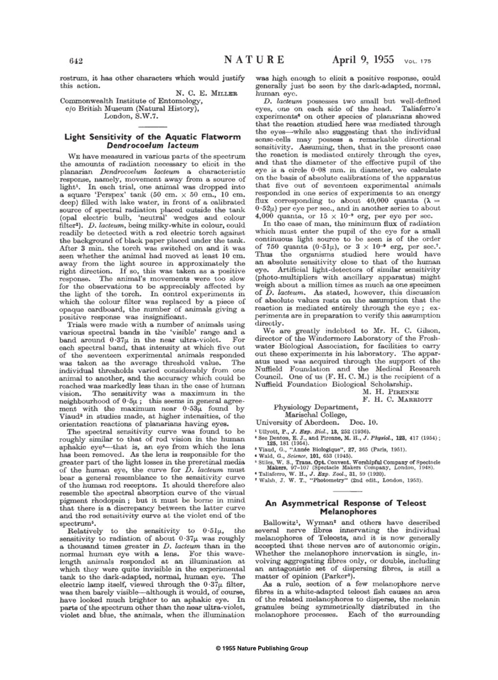 Light Sensitivity of the Aquatic Flatworm Dendrocoelum Lacteum