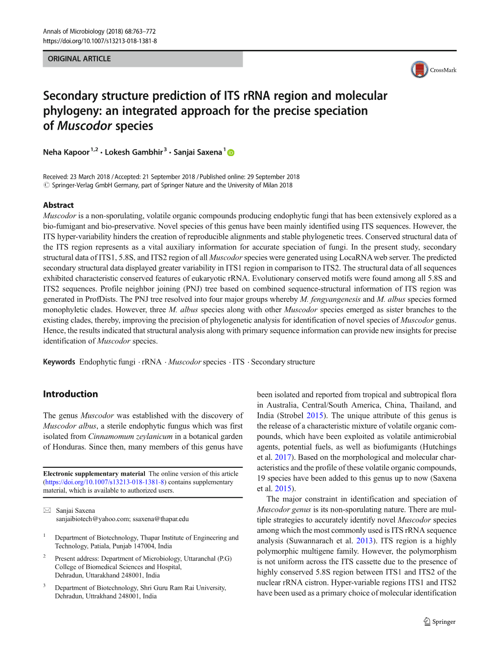 Secondary Structure Prediction of ITS Rrna Region and Molecular Phylogeny: an Integrated Approach for the Precise Speciation of Muscodor Species