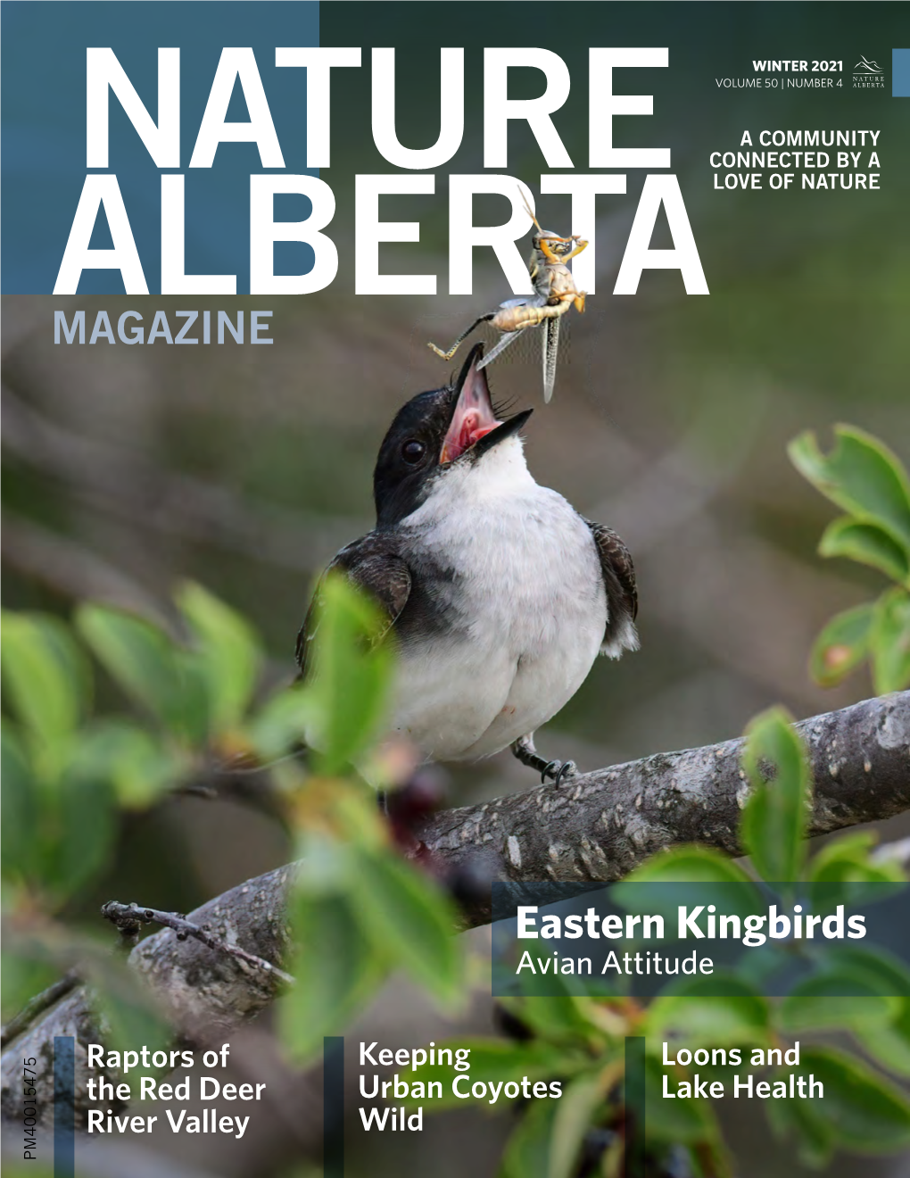 Nature Alberta Magazine