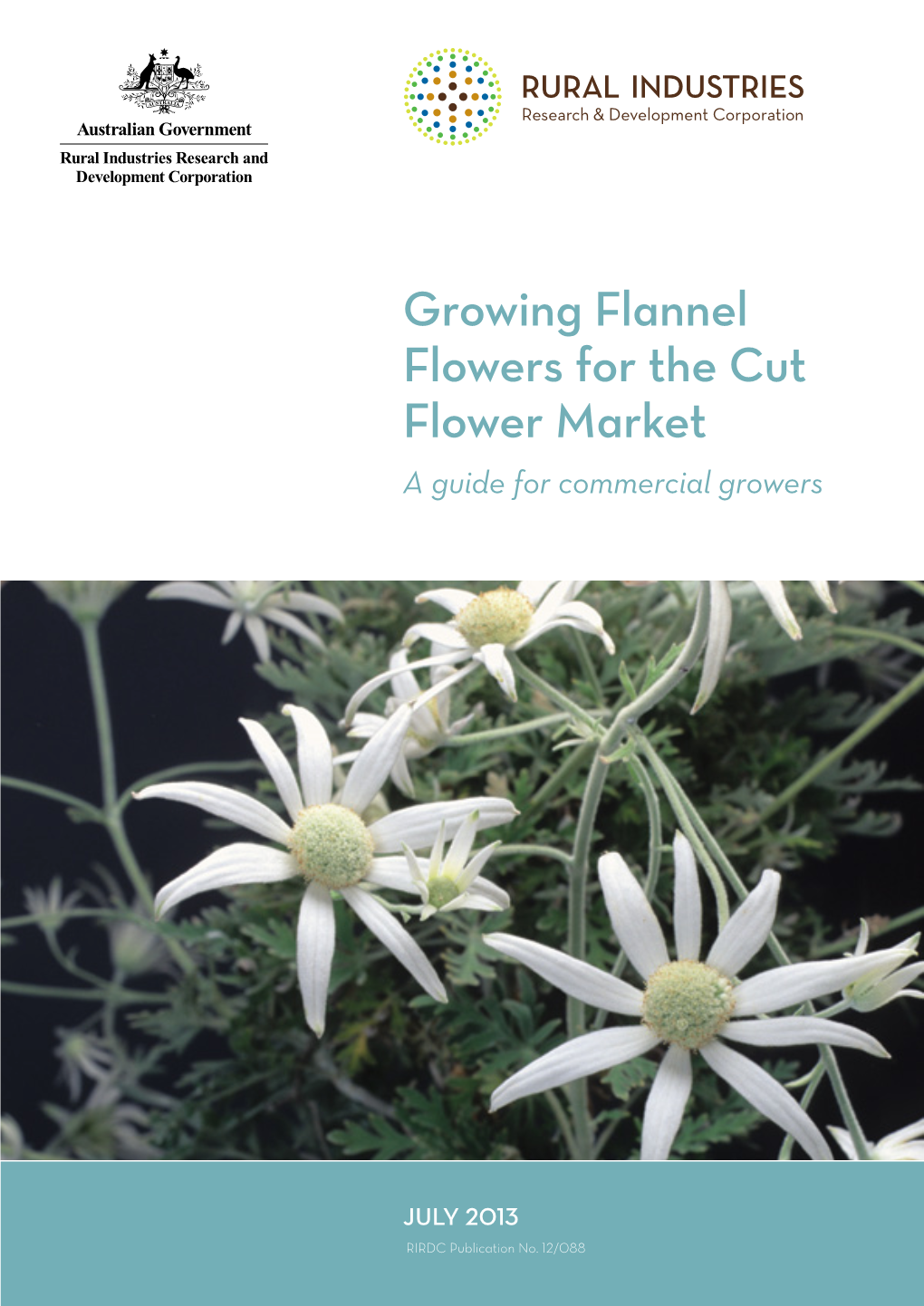 Growing Flannel Flowers for the Cut Flower Market a Guide for Commercial Growers