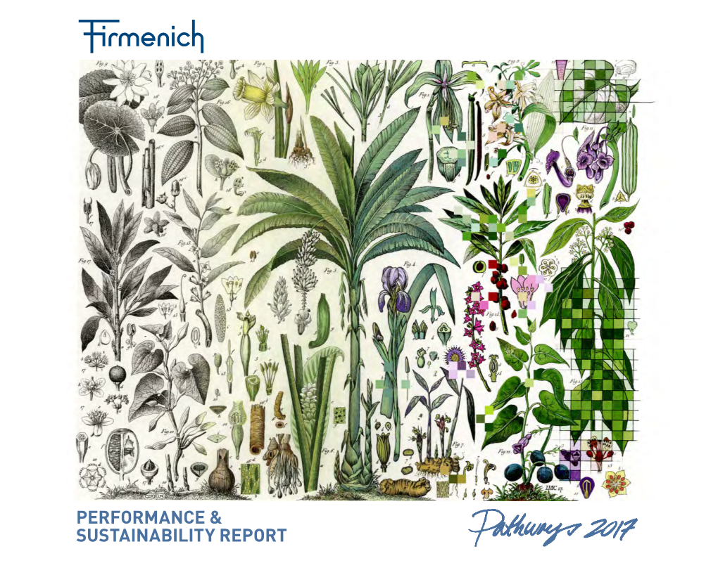 Performance & Sustainability Report