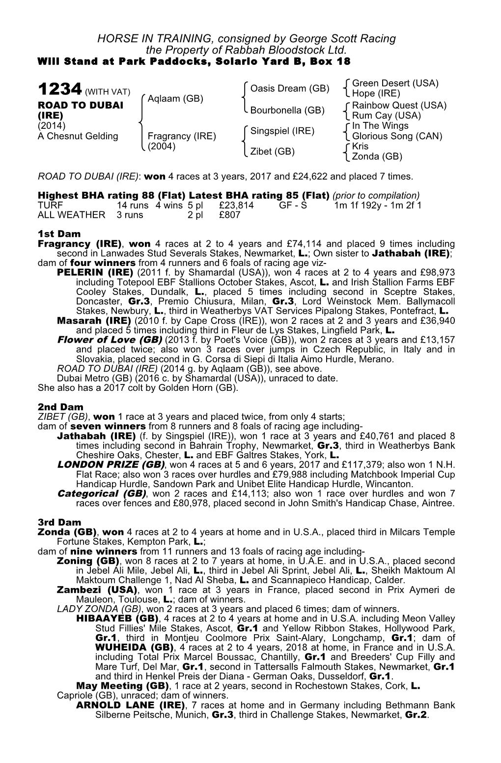 HORSE in TRAINING, Consigned by George Scott Racing the Property of Rabbah Bloodstock Ltd
