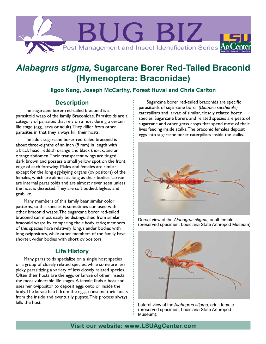 Alabagrus Stigma, Sugarcane Borer Red-Tailed Braconid (Hymenoptera: Braconidae) Ilgoo Kang, Joseph Mccarthy, Forest Huval and Chris Carlton