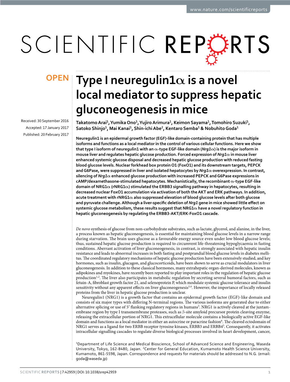 Type I Neuregulin1α Is a Novel Local Mediator to Suppress Hepatic