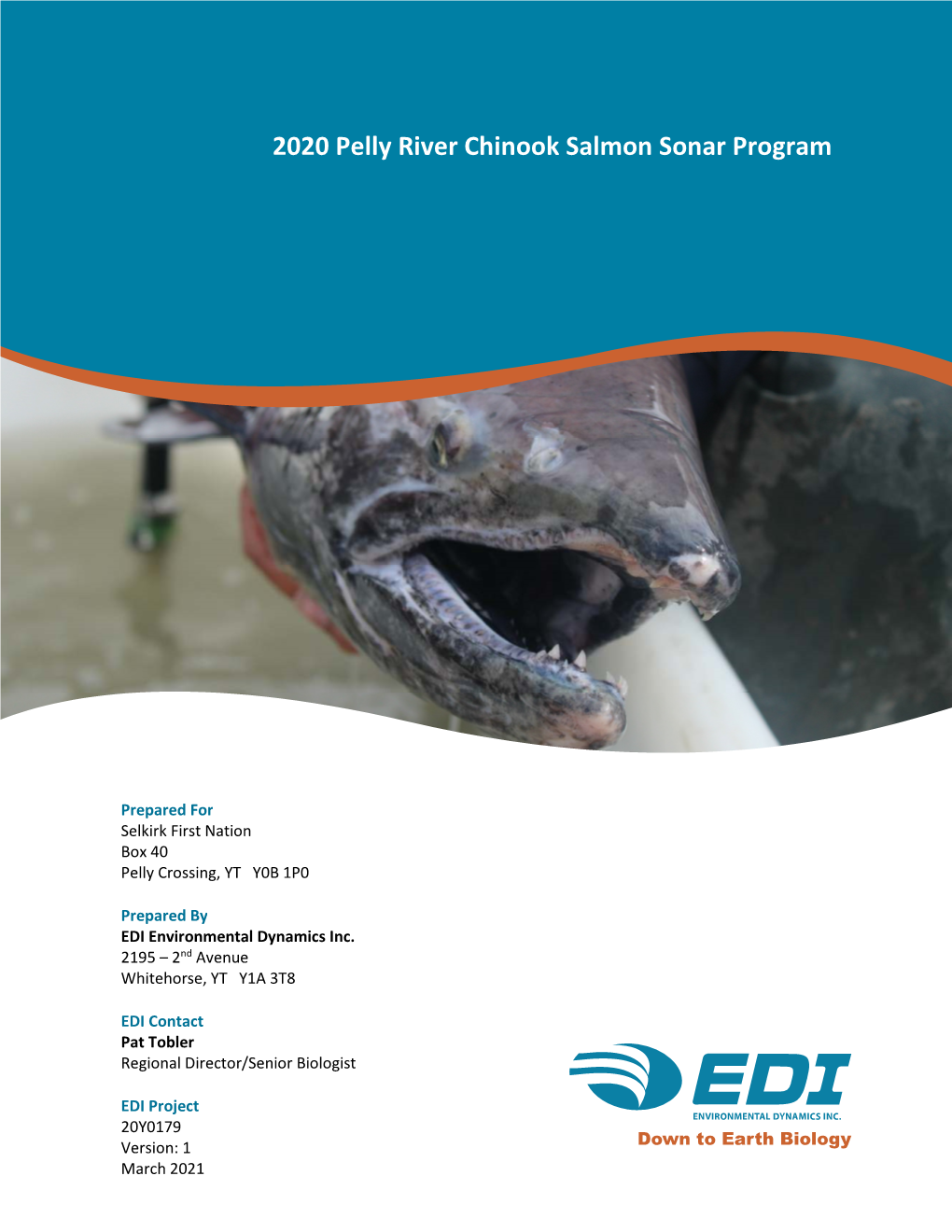 2020 Pelly River Chinook Salmon Sonar Program