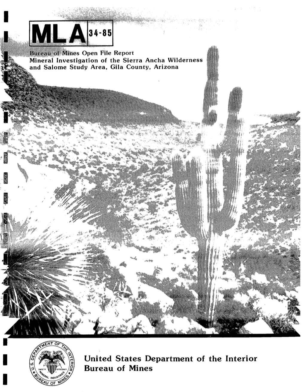 Mineral Investigation of the Sierra Ancha Wilderness and Salome Study Area, Gila County, Arizona